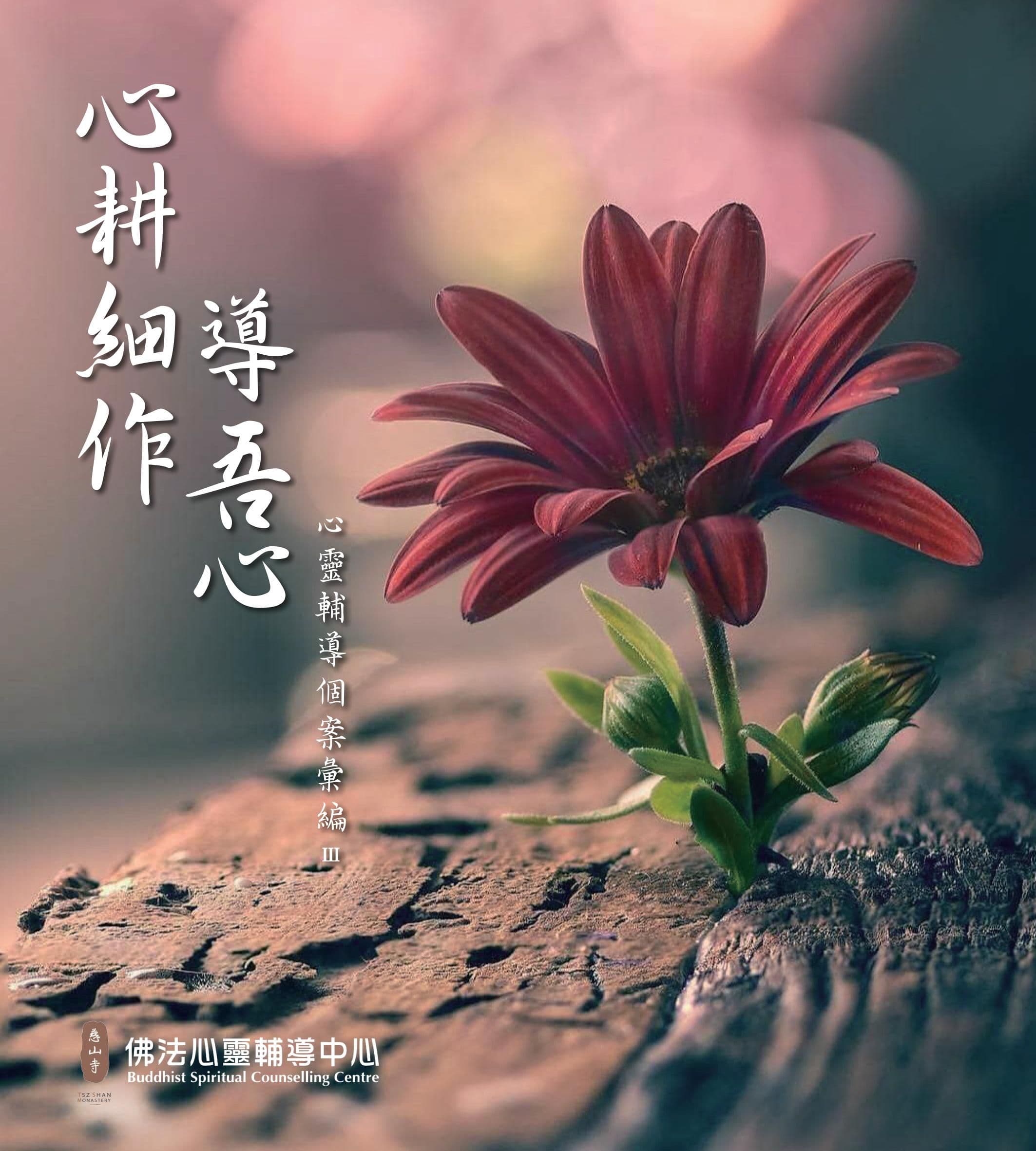 心耕細作導吾心 : 心靈輔導個案彙編 III