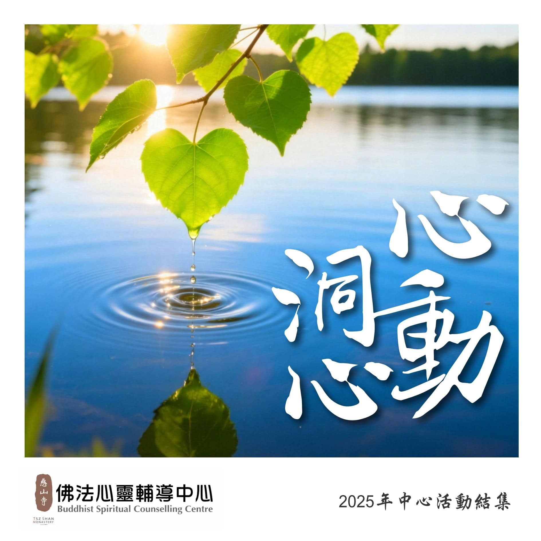 「心動洞心」2025年中心活動結集